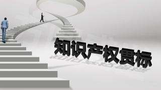 企業(yè)實(shí)行知識(shí)產(chǎn)權(quán)貫標(biāo)后 作用竟有這么大！