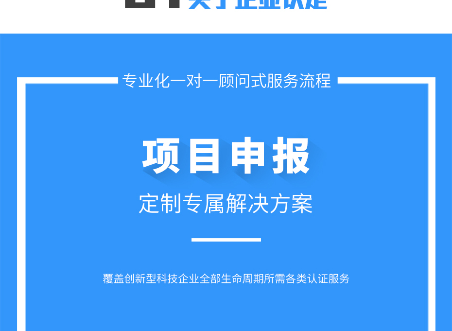 （技術(shù)改造）項目申報_05